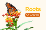 Roots of Change
