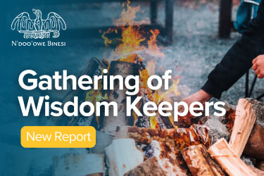 Knowledge Gathering Report