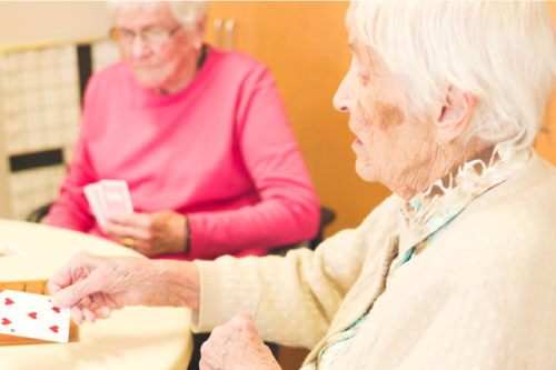 Manor House Activities